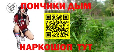 крисы Партизанск