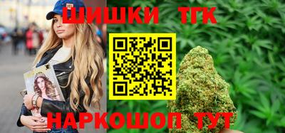 индика Первоуральск