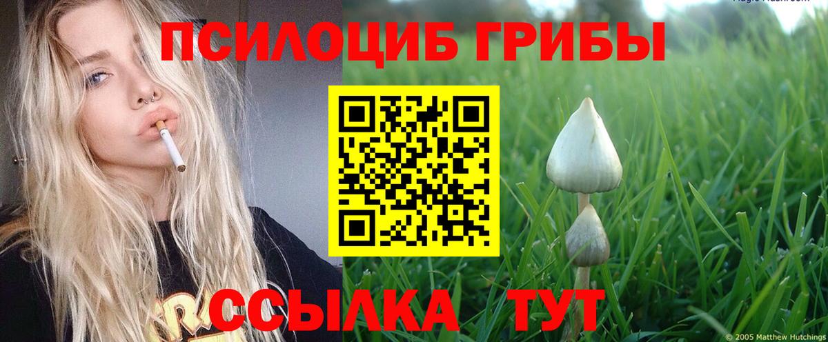 Галлюциногенные грибы MAGIC MUSHROOMS Рубцовск
